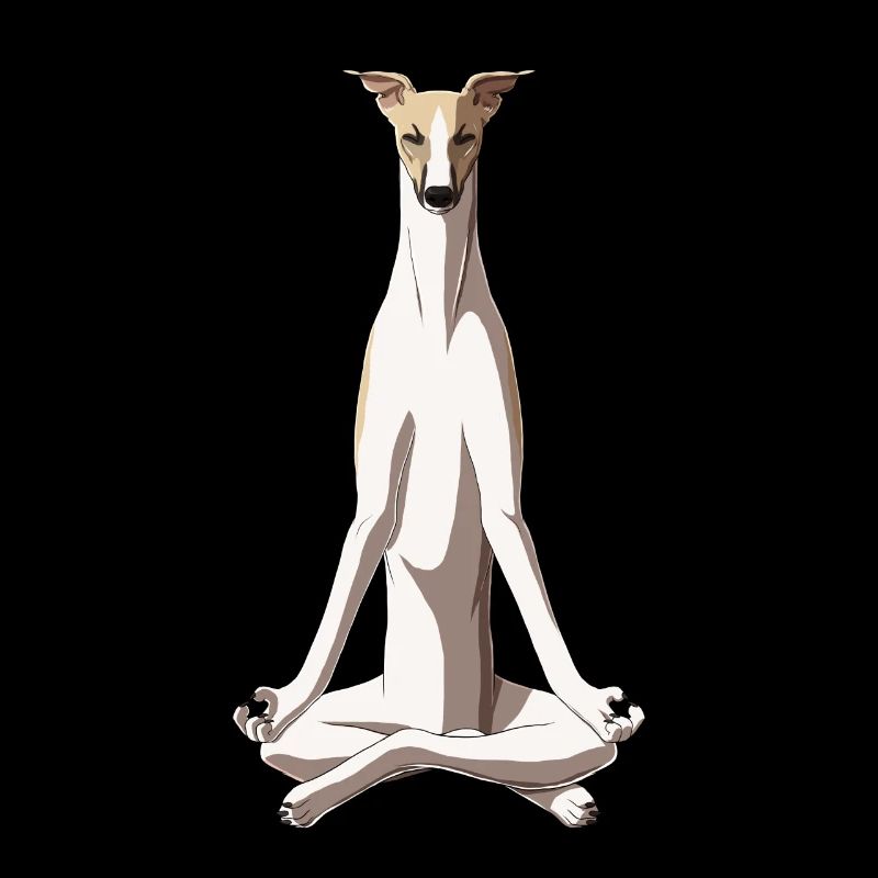 Meditating Whippet Dog