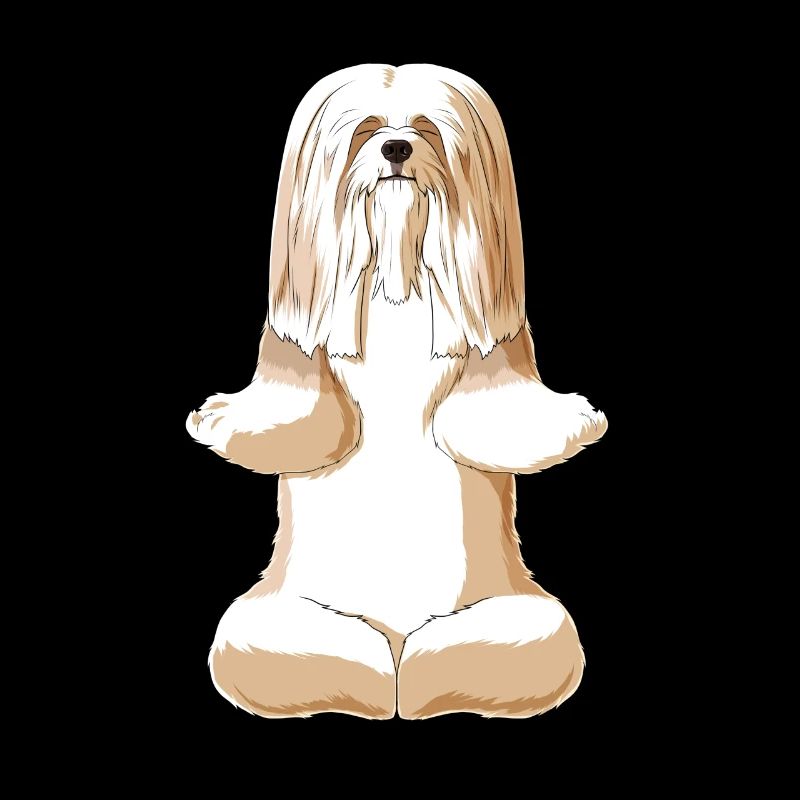 Méditant chien Lhasa Apso