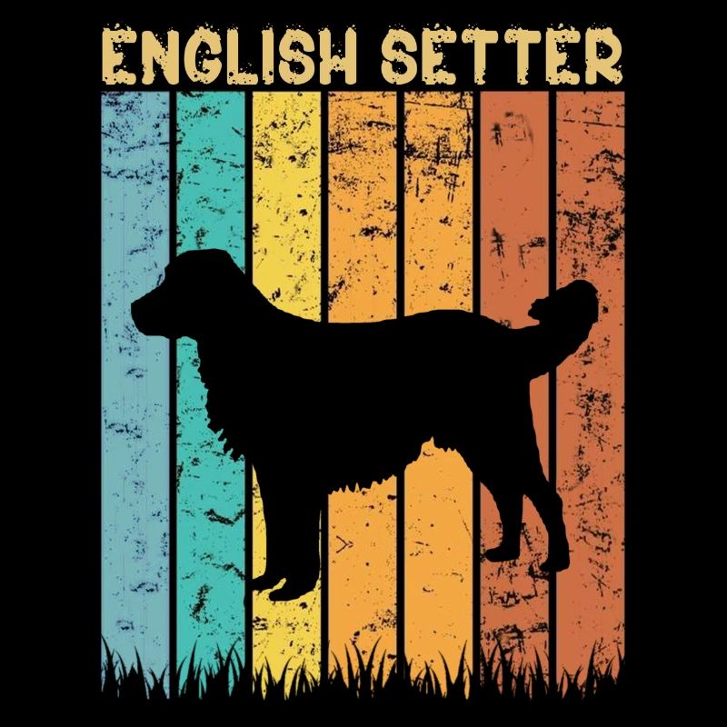 Englischer Setter