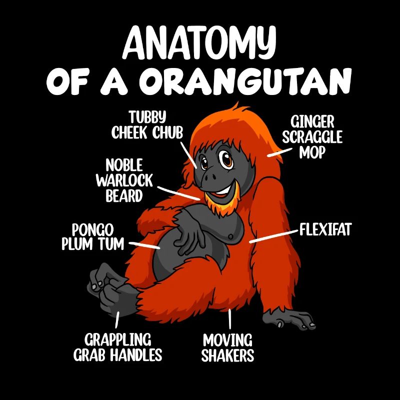 Anatomie eines Orang-Utans