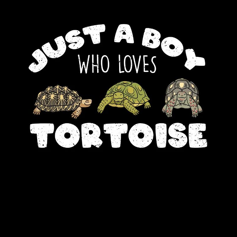 Juste un garçon qui aime la tortue