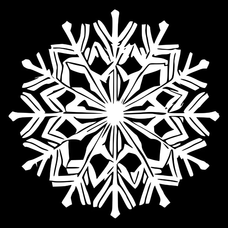 Snowflake Snow Winter Christmas Cold 16