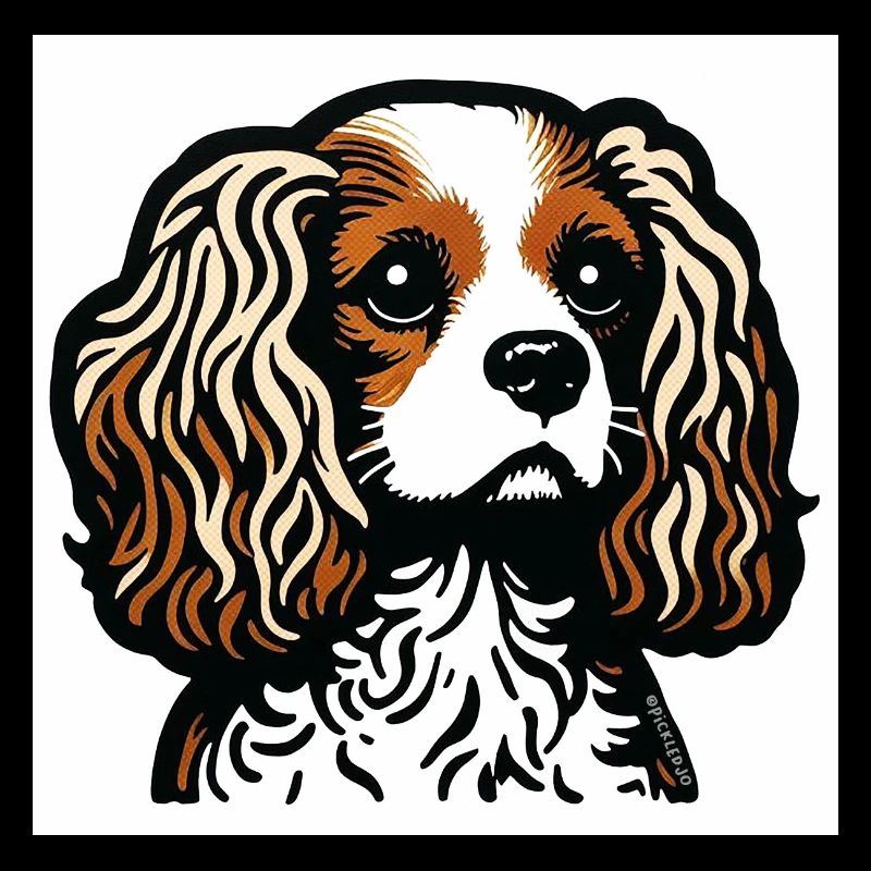 King Charles Spaniel - Blenheim