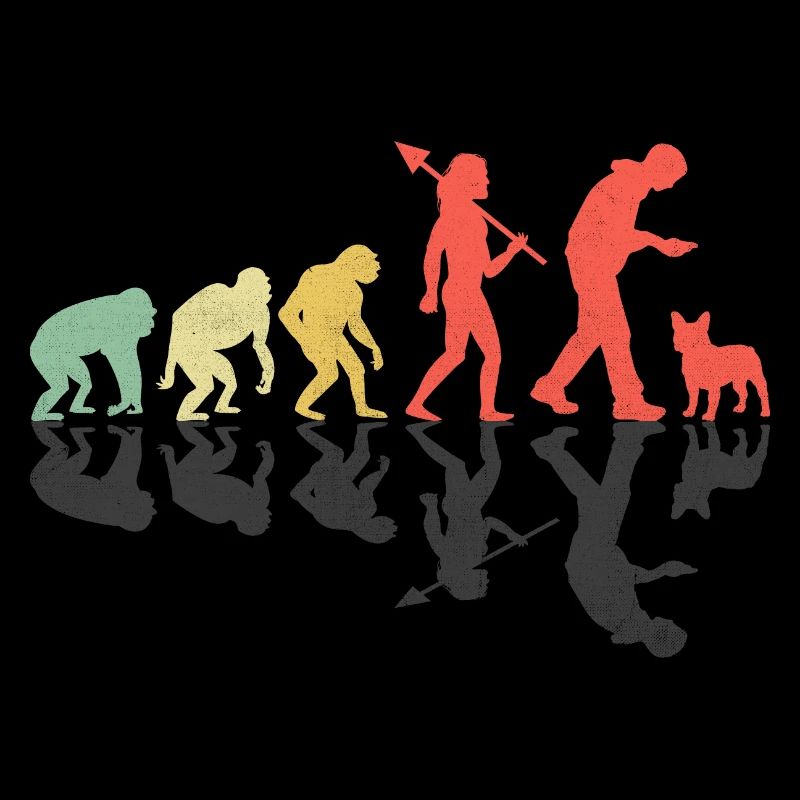 Evolution Bouledogue Français Frenchie Dog Lover Bulldo