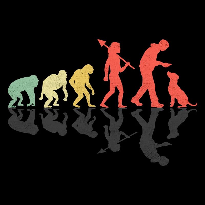Evolution Labrador Retriever Lab Dog Retrievers