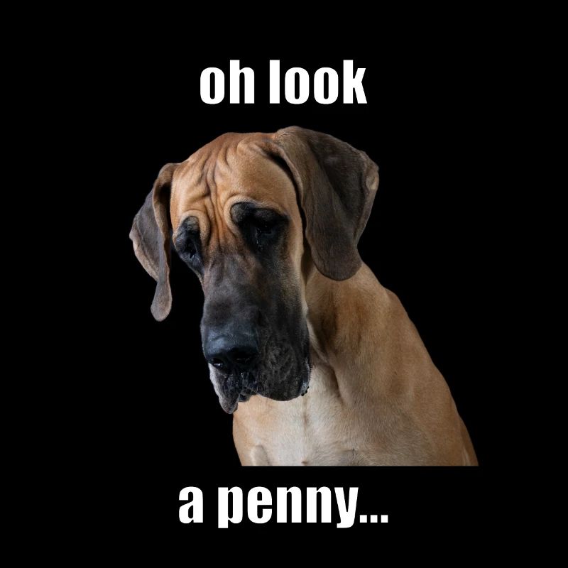 Oh look, a penny...