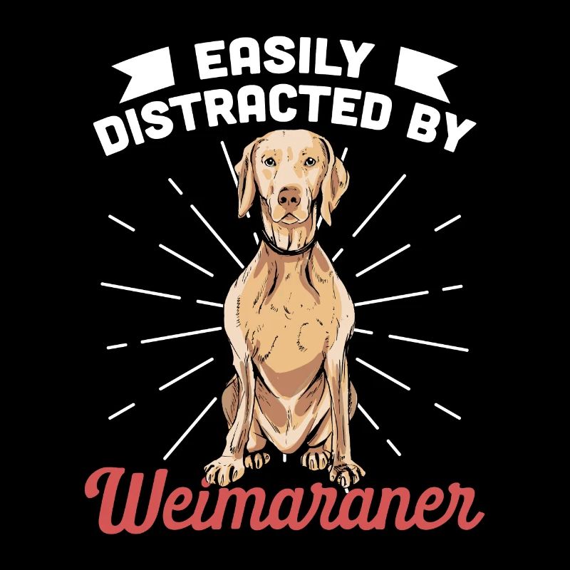 Weimaraner