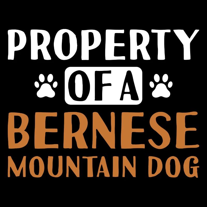 Propriété D’Un Bouvier Bernois