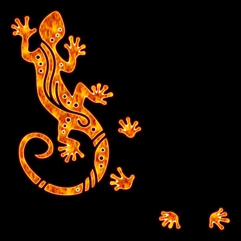 Running Gecko Fire