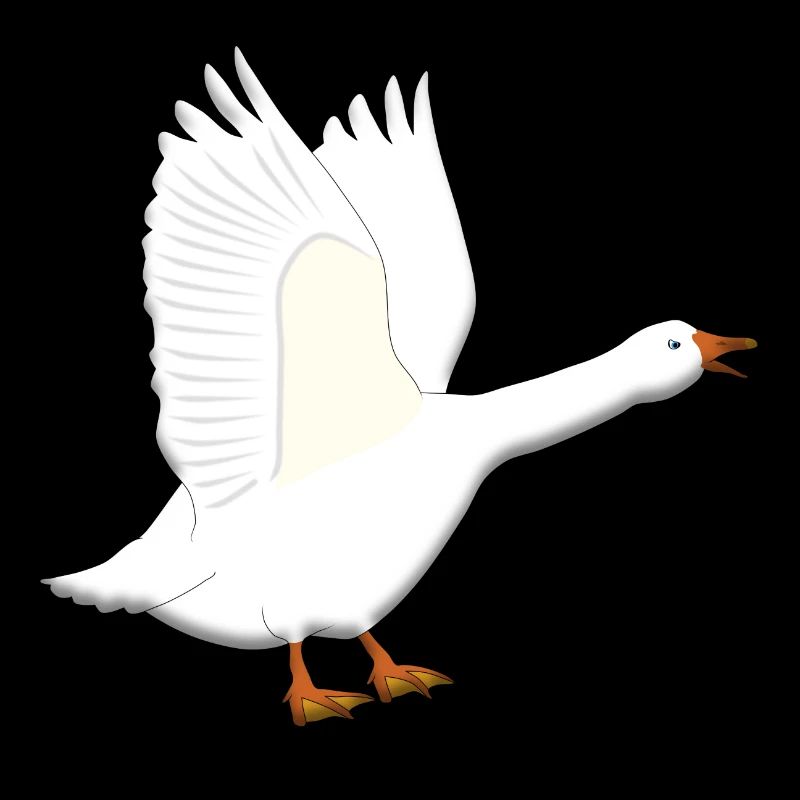 Gans ist sauer
