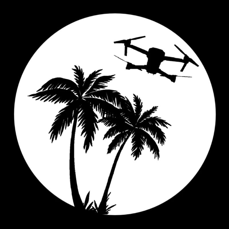 DJI MAVIC PRO DROHNE palme Sonne