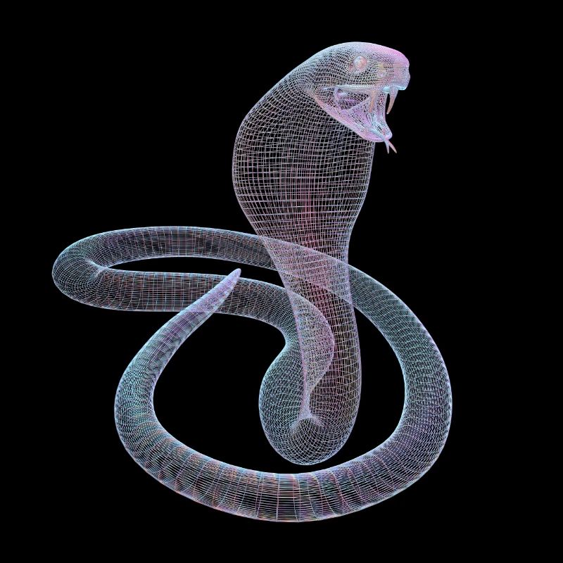 cobra