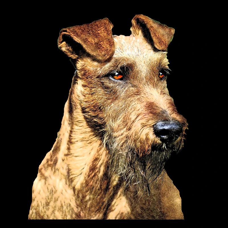 Irish terrier