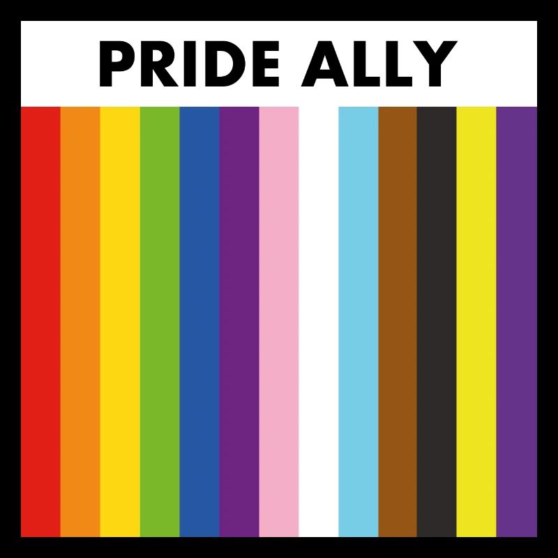 Gay Pride Ally inclusive rainbow flag