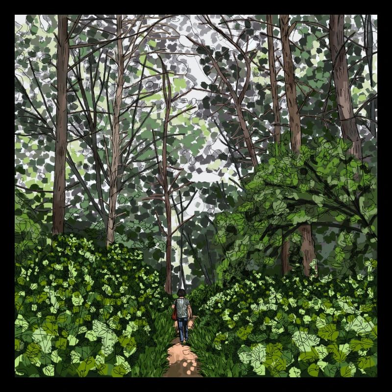 Spazieren Sie durch den Wald