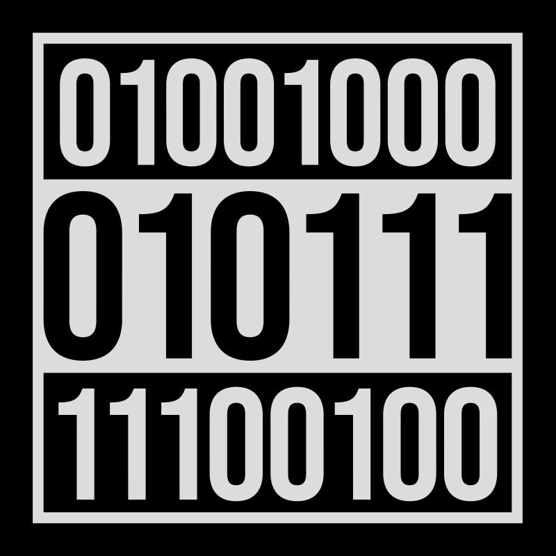 Langage de programme de code binaire