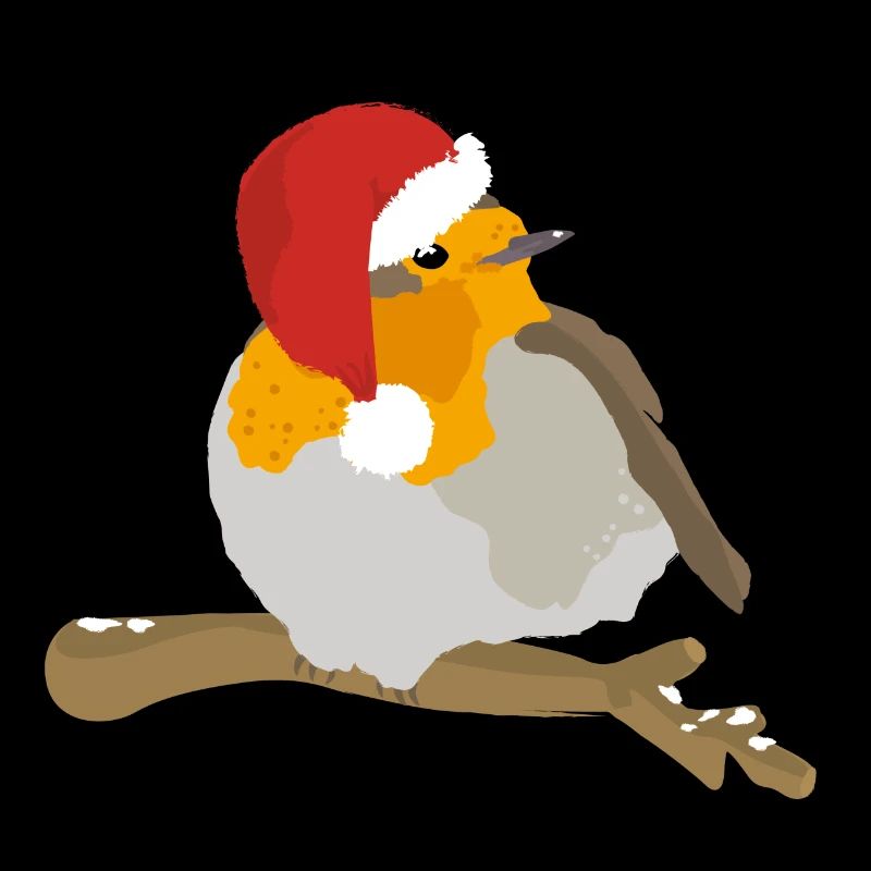 Robin avec chapeau de Noël