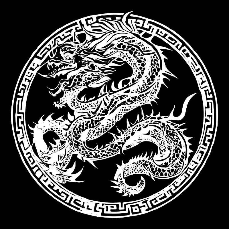 fernöstliches Drachen Emblem