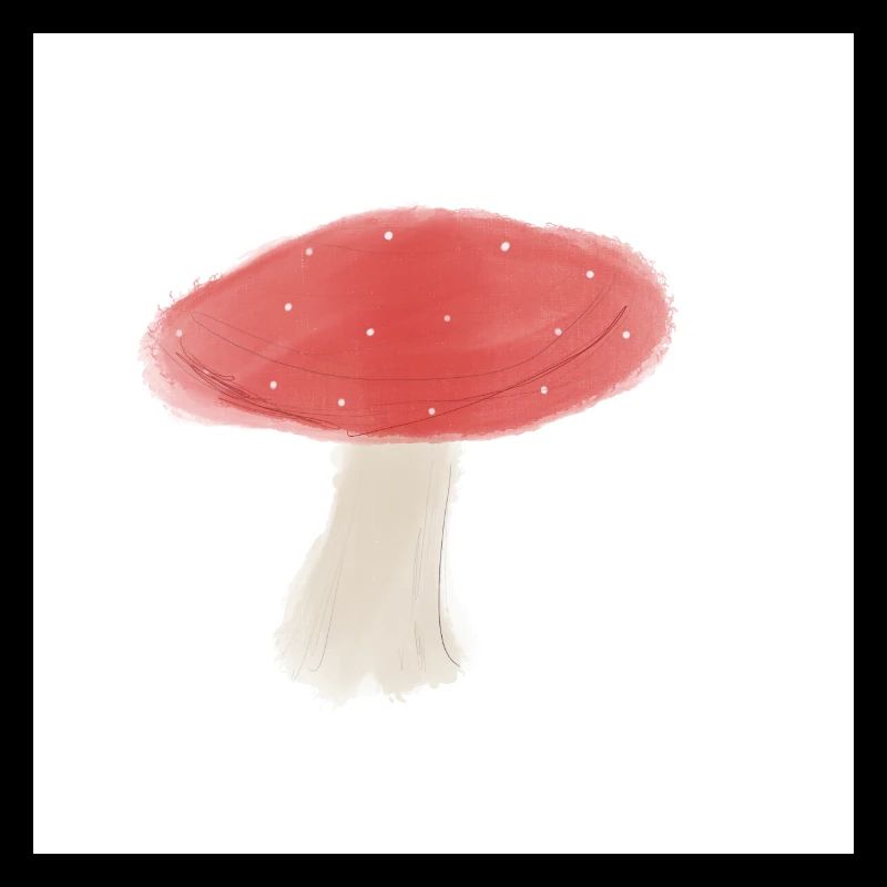 l’amanite tue mouche