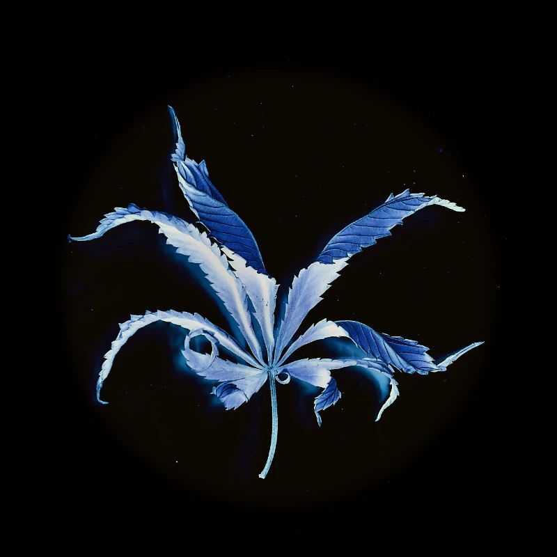 Feuille enroulée, inversée