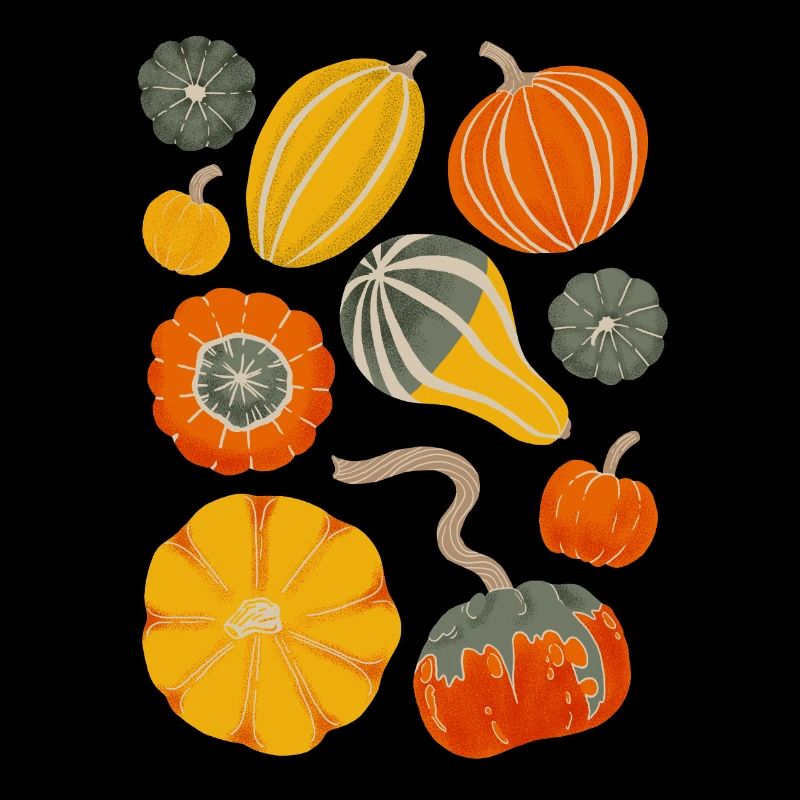 Kürbisse Saison