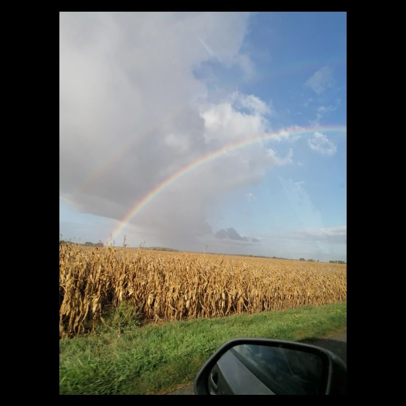 Regenbogen auf der Straße und Weizenfelder