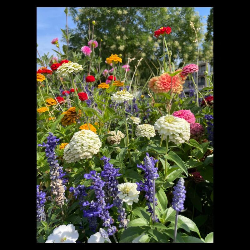 Blumen