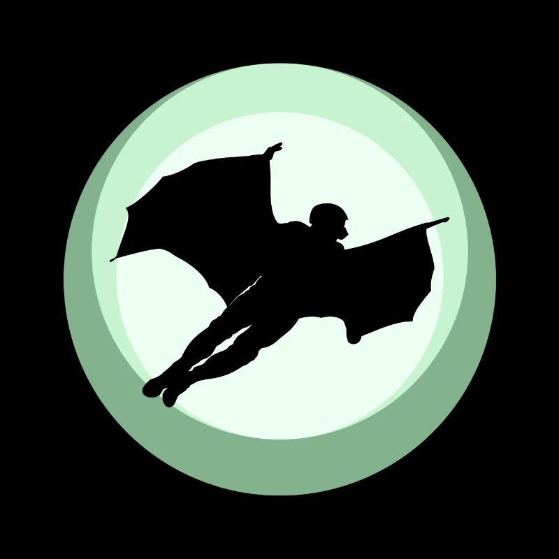 Wingsuit Flying Gliding Base Jumping