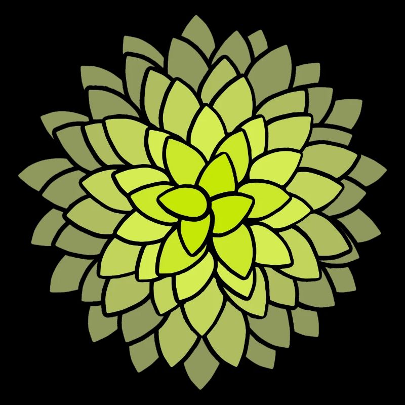 MUMS Fleurs Fleurs Fleurs