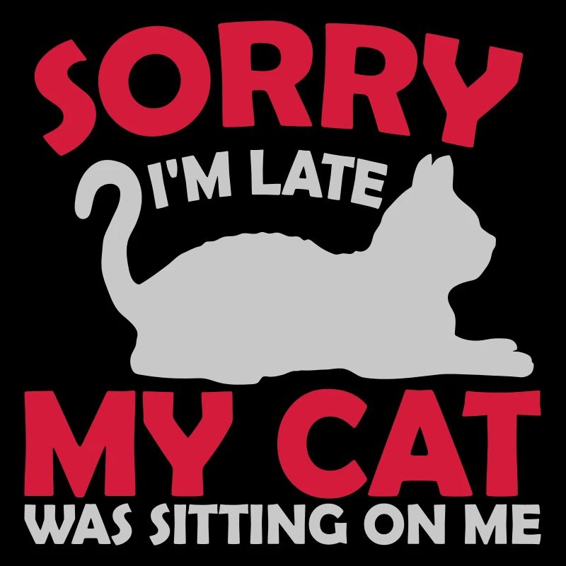 désolé chat était assis