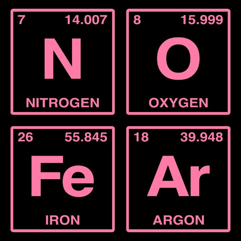 NO FEAR - with elements of the perdiode system