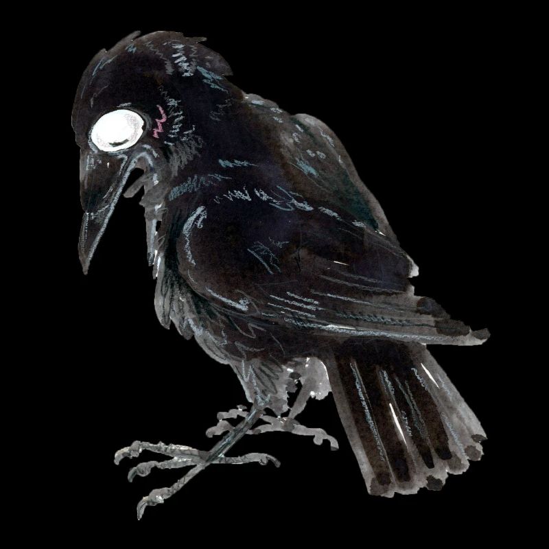 Raven Crow 3