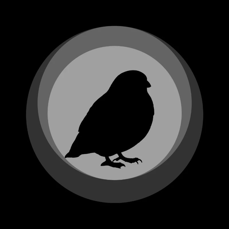 Bird Bird Pets