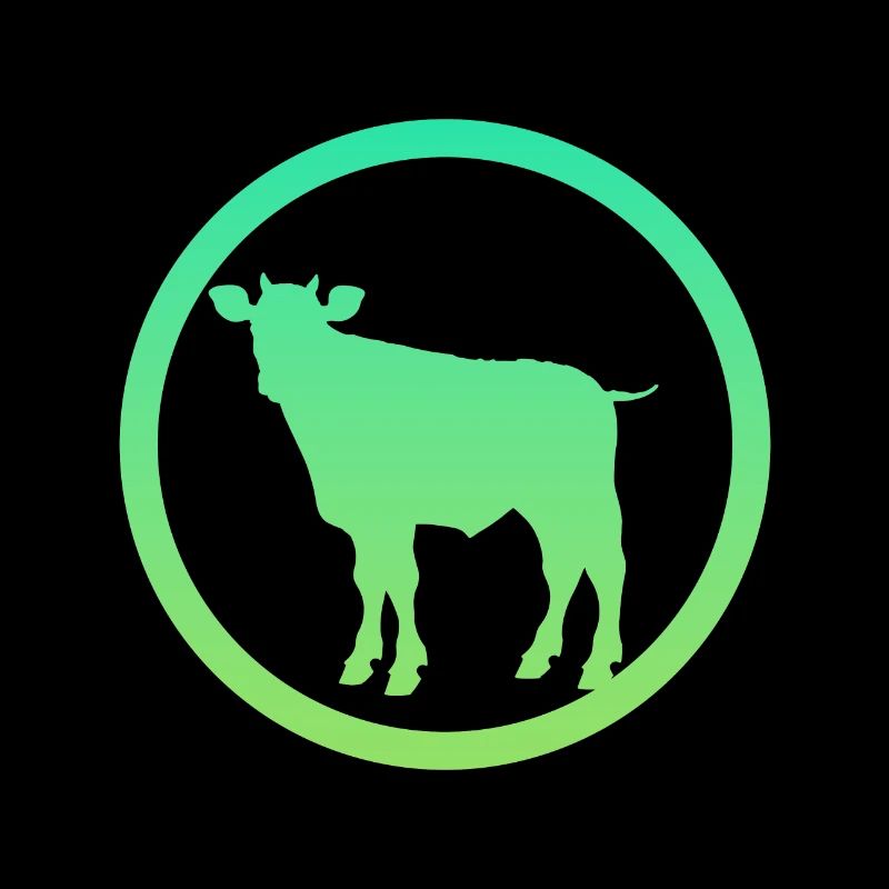 Cows Cows Cow