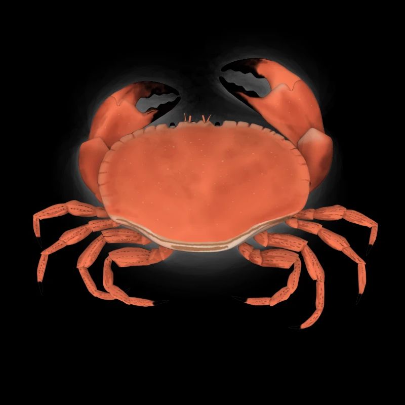 krabbe