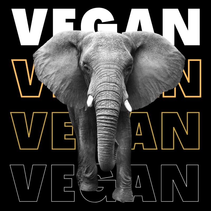 Éléphant végétalien