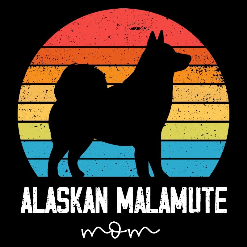 Chien Malamute d’Alaska