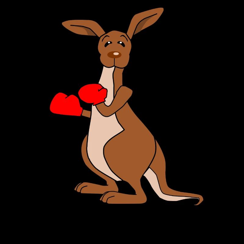 Boxing kangaroo boxing gift funny boxing match