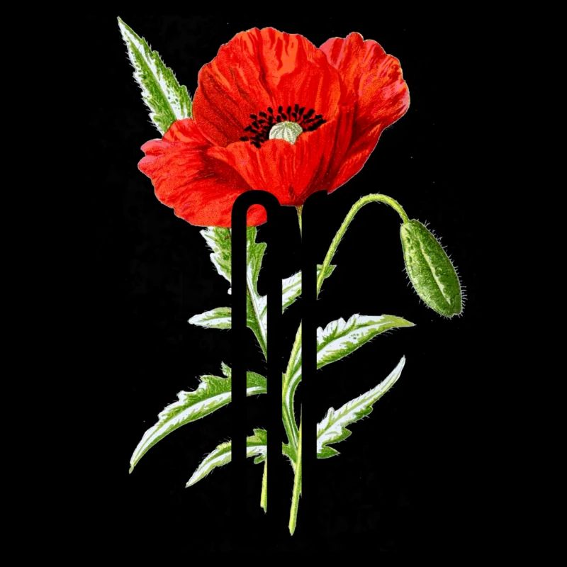 Flower Bloom