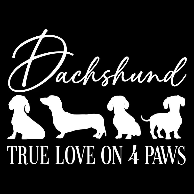 Dachshund true love on four paws