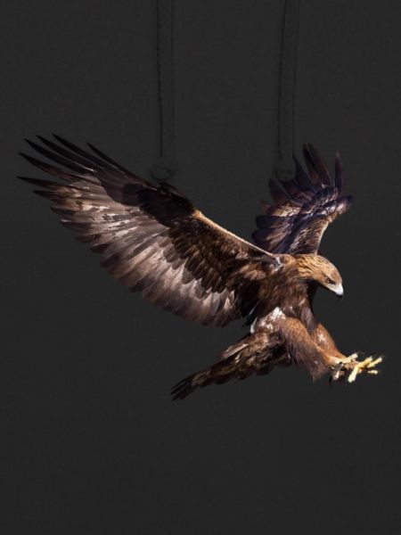 Flying-Eagle