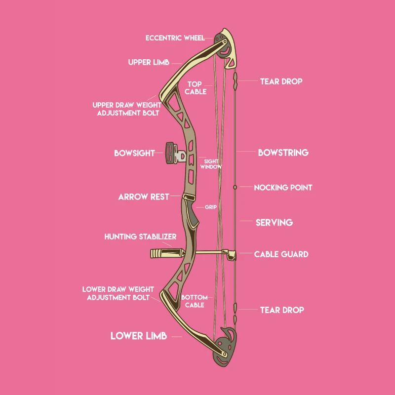 Anatomie eines Bogens | Bogensport Compound Pfeil