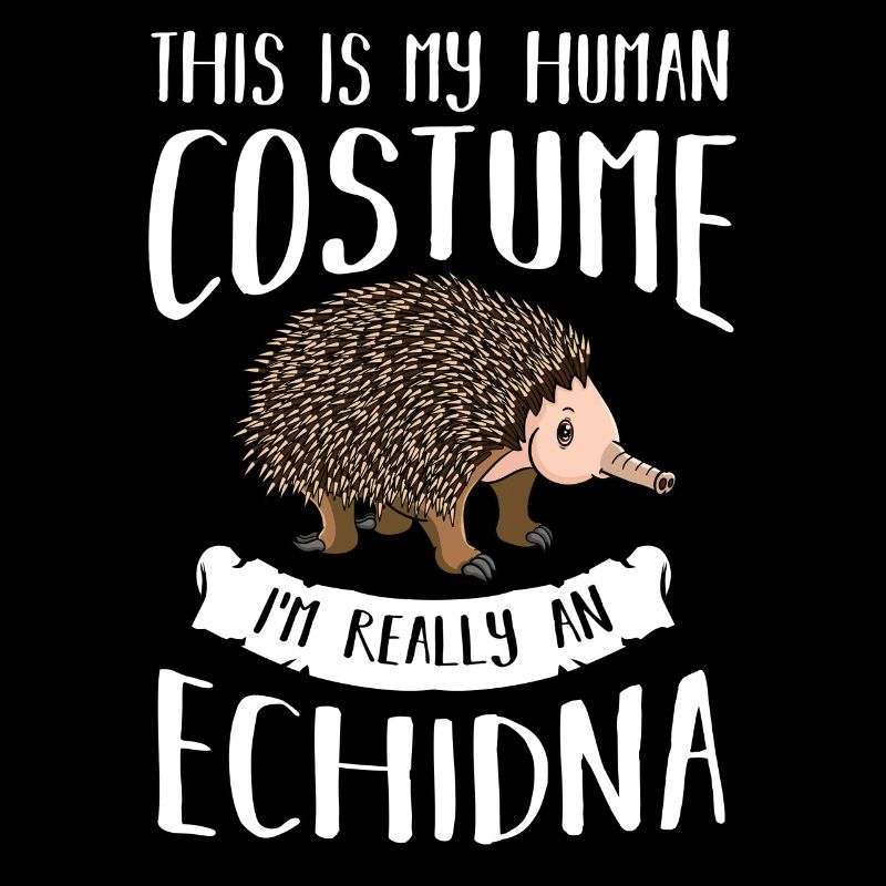 Echidna Ameisenigel Schnabeligel Lustiger Igel