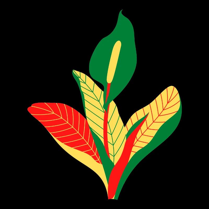 Anthurium