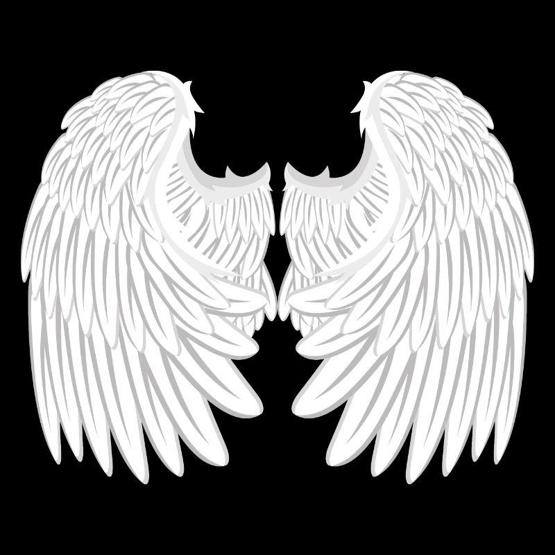 Ailes d'anges