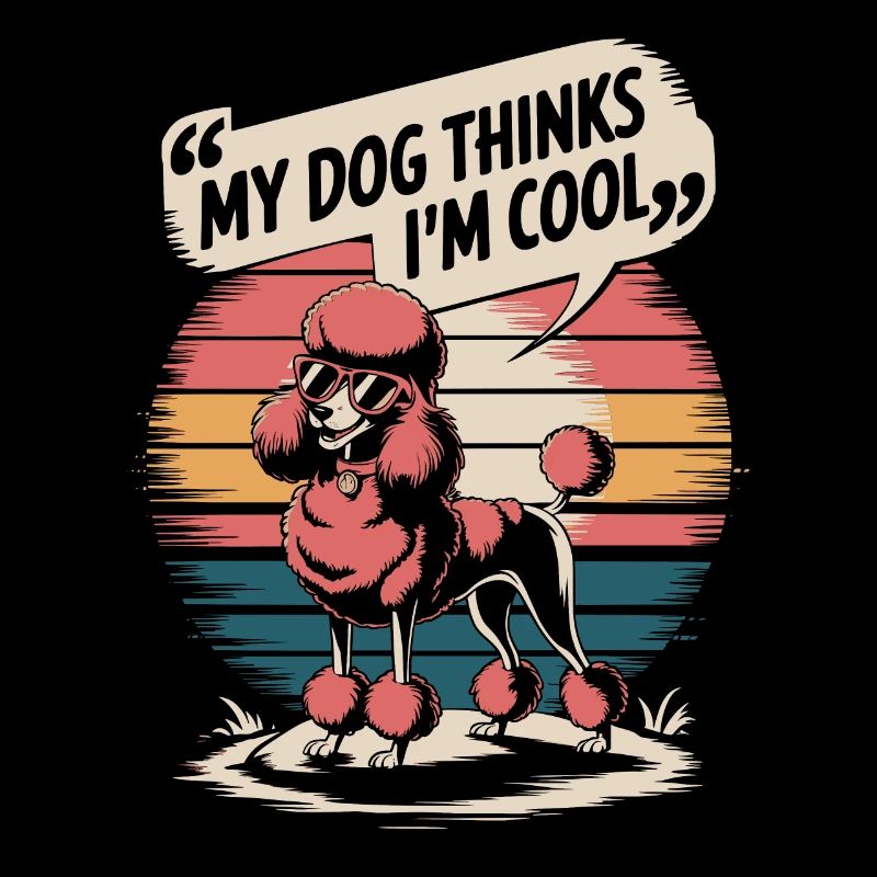 Caniche mon chien pense que je suis cool