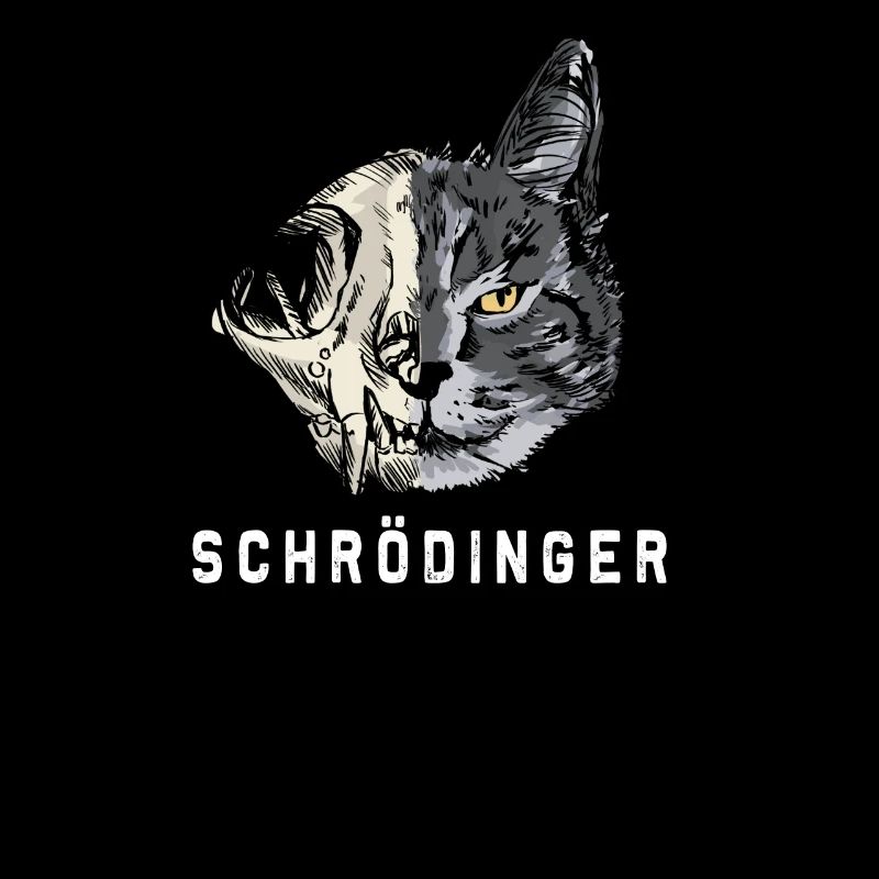 Schrödingers Chat Physique Schrödinger’s Cat Geeks