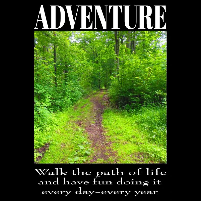 Adventure - Forest path in summer - Experience nature