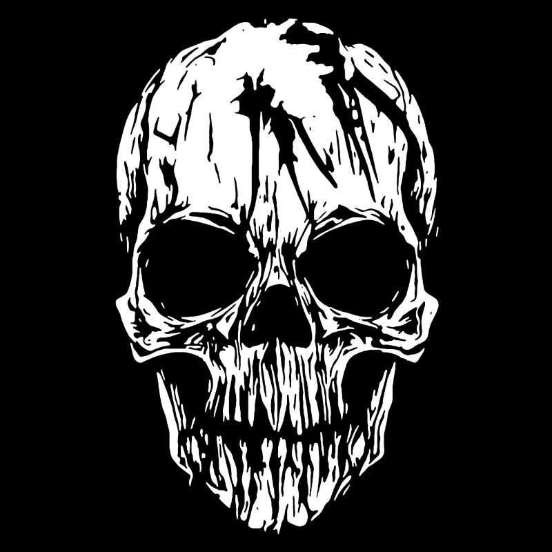 Skull
