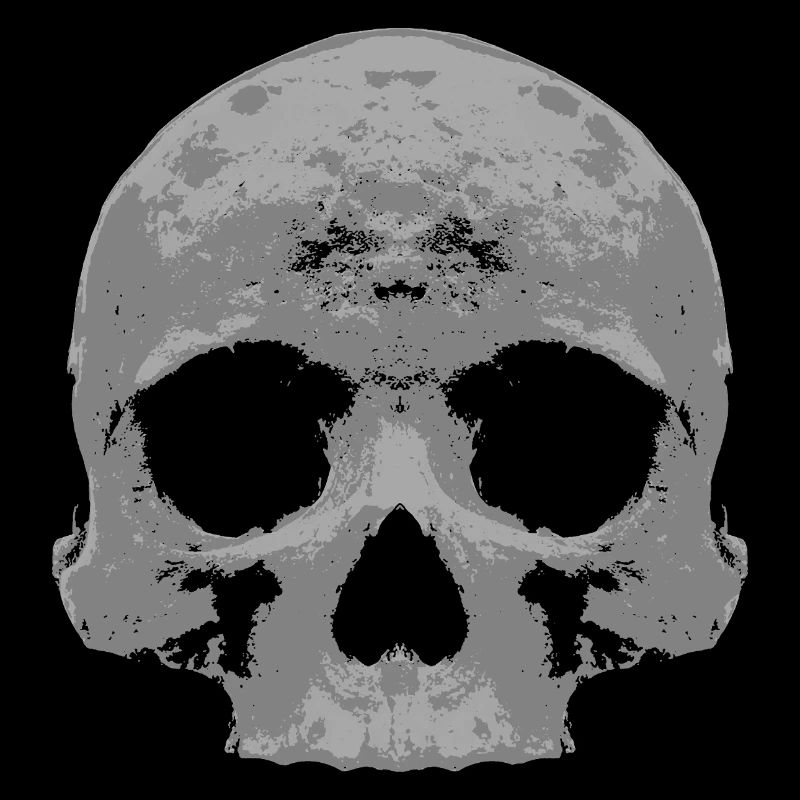Totenkopf grau und düster
